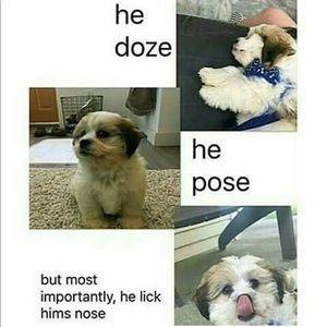 Meet your Posher, Gabby